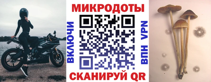 цена наркотик  Ржев  Галлюциногенные грибы Psilocybine cubensis 