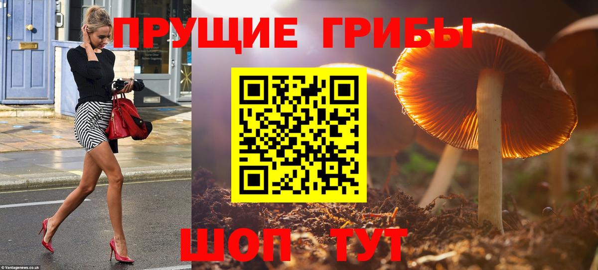 Ржев  Псилоцибиновые грибы ЛСД  Вход с VPN 